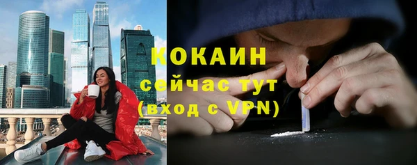 молекула духа Сясьстрой