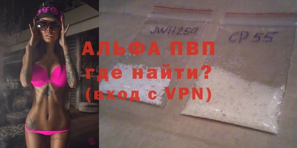 индика Аркадак