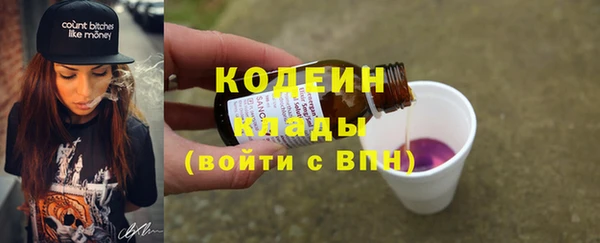 хмурый Новозыбков