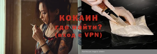 дмт Тавда
