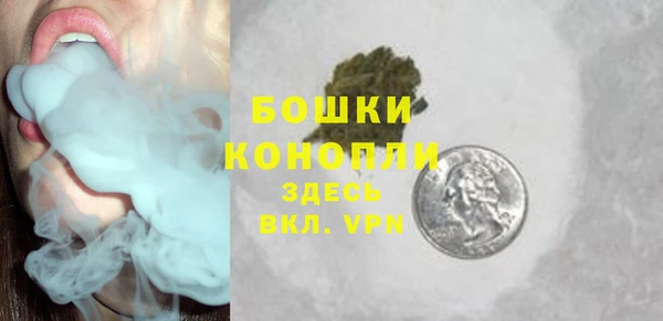 хмурый Новозыбков