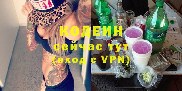 хмурый Новозыбков