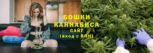 молекула духа Сясьстрой