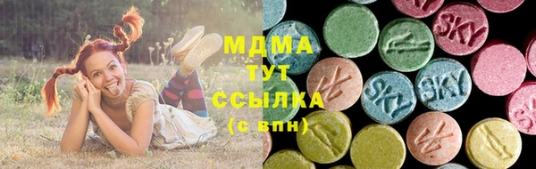 индика Аркадак