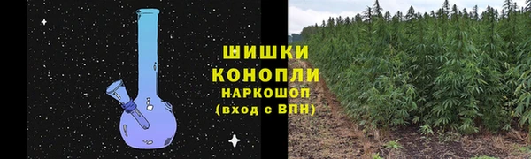 хмурый Новозыбков