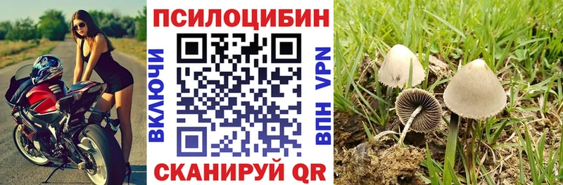 Псилоцибиновые грибы GOLDEN TEACHER  даркнет сайт  mega зеркало  Чайковский 
